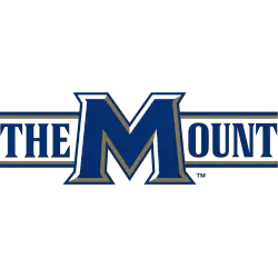 Mount St. Mary's Mountaineers Wordmark Logo 2006 - 2016